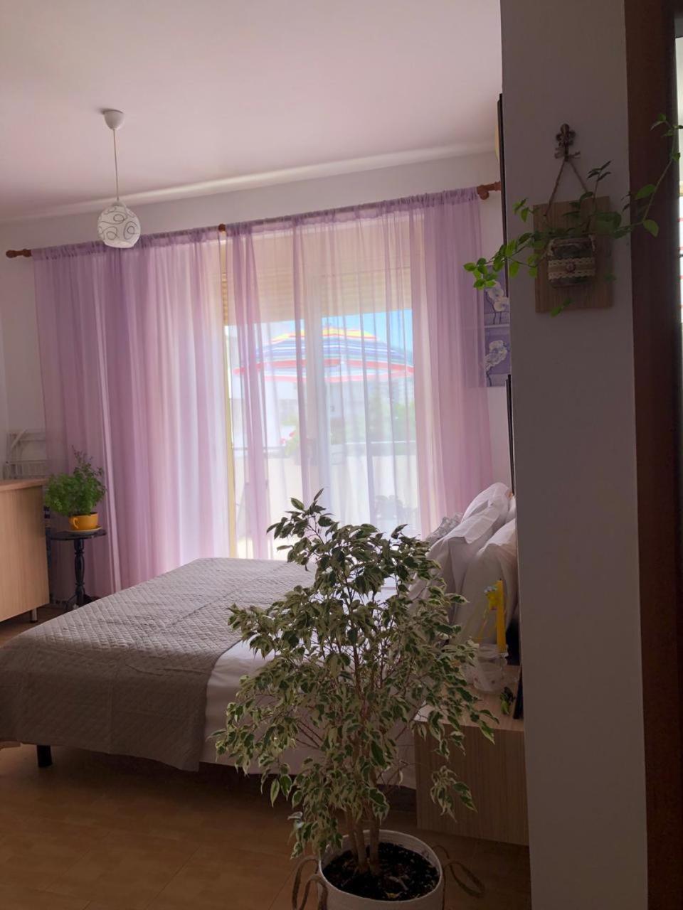 Studio Of Shpresa Vlore Luaran gambar